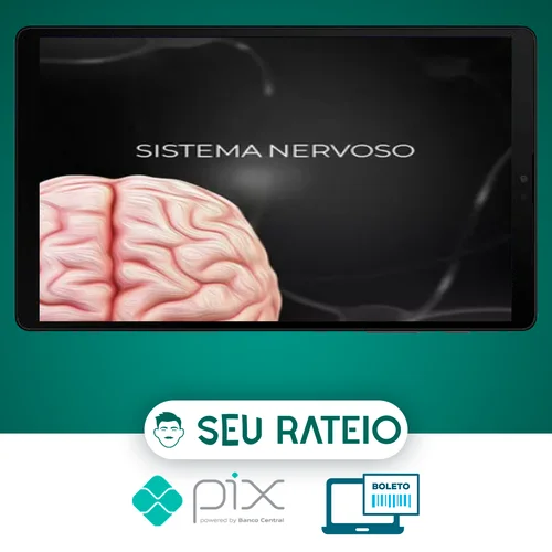 Fisiologia do Sistema Nervoso - Fisiologia Didática