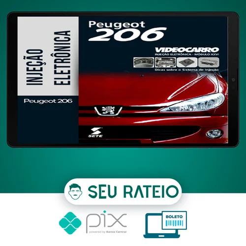 Injeção Eletrônica: Peugeot 206 - VideoCarro