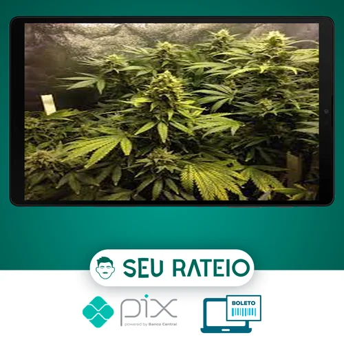 Cultivo Indoor de Plantas Medicinais - Jean Silva